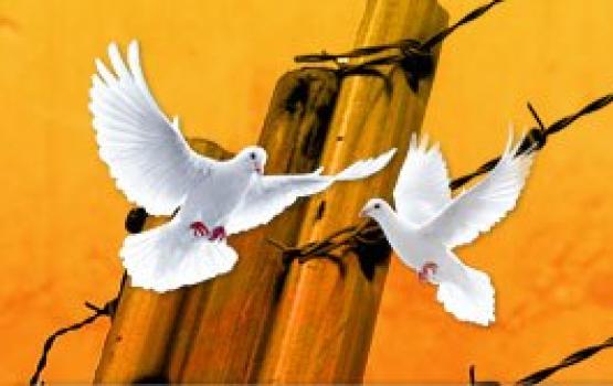 الاحتلال يفرج عن 4 أسرى مقدسيين بكفالة مالية وحبس منزلي