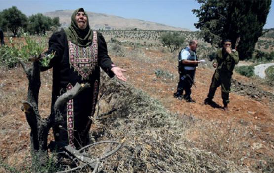 الاحتلال يمنع مزارعاً من العمل بأرضه في بلدة بيت امر