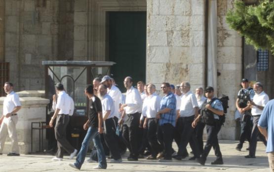 مستوطنون يقتحمون الاقصى واعتقال 3 شبان من ساحاته