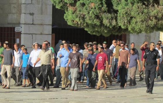 اعتقال طالبة علم..  24 مستوطنًا يقتحمون الأقصى