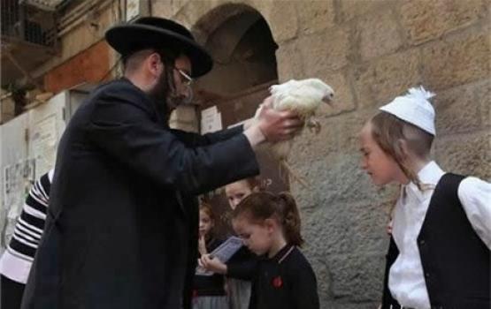شاهد بالصور خُرافات اليهود في عيد الغفران المزعوم
