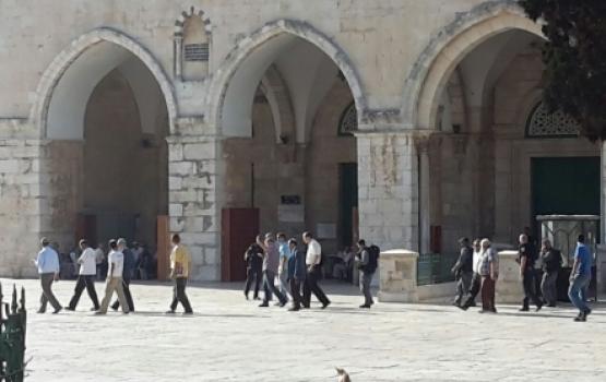 40 مستوطنًا يقتحمون الأقصى