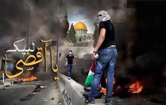 2014.. "هبة المقدسيين" تعيد الاعتبار للمسجد الأقصى
