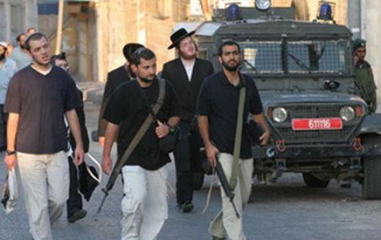 "آردان": نرغب برؤية أعداد أكبر من الصهاينة يحملون السلاح