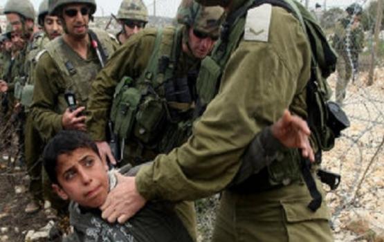 38 ألف شيقل غرامات بحق الأشبال بـ"عوفر" بمايو