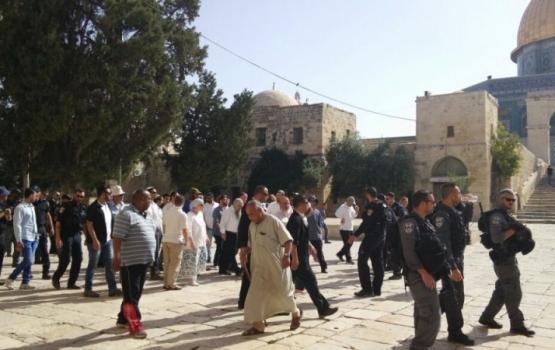 مستوطنون يجددون اقتحامهم للأقصى بحماية أمنية مشددة