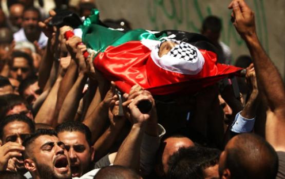  3 شهداء وإصابة 11 صهيونياً  و10 عمليات فدائية خلال أسبوع 