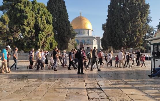 اقتحام الاقصى