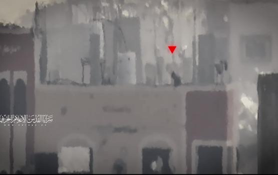 السرايا تقنص