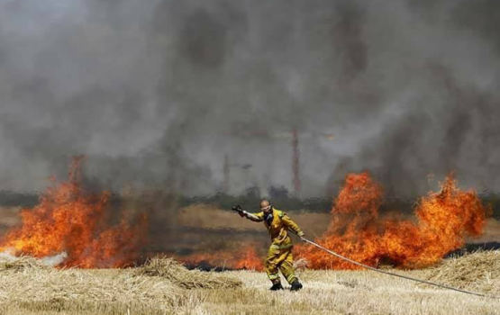 حرائق جديدة بمغتصبات "غلاف غزة" بفعل البالونات الحارقة 