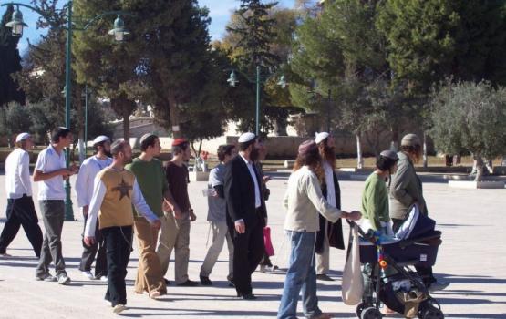 عشرات المغتصبين يقتحمون باحات الأقصى