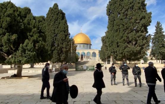 571 مستوطنًا اقتحموا الأقصى الأسبوع الماضي