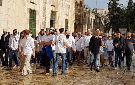 مستوطنون يقتحمون باحات المسجد الأقصى بحراسة أمنية مشددة