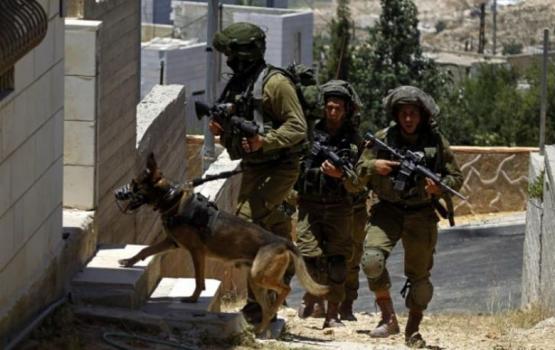 الاحتلال يقتحم قرية النبي صالح شمال رام الله