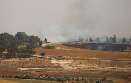 صحيفة صهيونية: خسائر بالملايين بفعل الطائرات الورقية الحارقة 