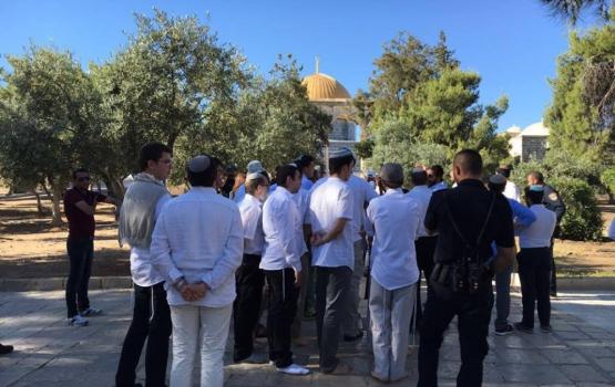 مستوطنون يقتحمون ساحات المسجد الأقصى المبارك