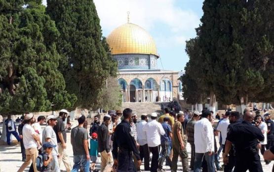 50 مستوطناً صهيونيًا يقتحمون الأقصى بحراسة مشددة