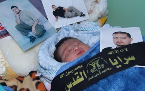 ارتفاع عدد "سفراء الحرية" إلى 74 طفلًا عبر النطف المهربة