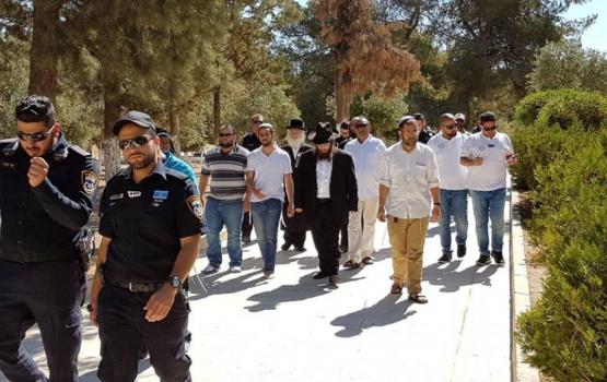 مستوطنون متطرفون يقتحمون الأقصى بحراسة مشددة