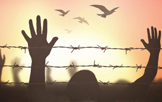 الأسرى يواصلون العصيان ضد إدارة السجون لليوم الـ 34  