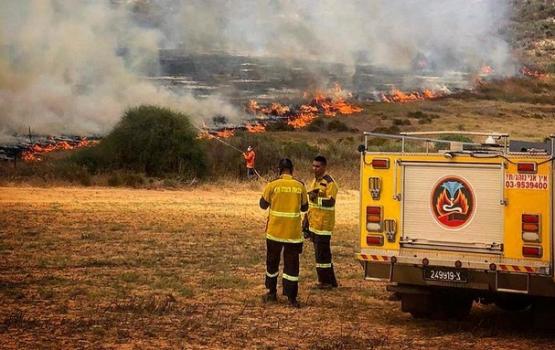  الحرائق تتجدد في أحراش "غلاف غزة" بفعل بالونات حارقة 