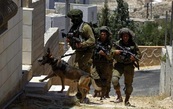 الاحتلال يشن حملة مداهمات واعتقالات ليلية بالضفة