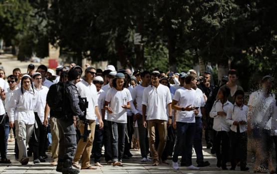 369 مغتصباً صهيونياً اقتحموا الأقصى خلال الأسبوع الماضي