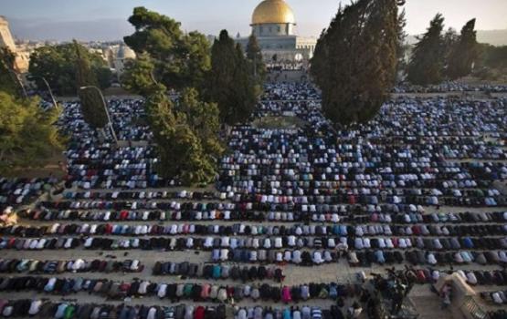 40 ألف مصلٍّ يؤدون الجمعة في المسجد الأقصى