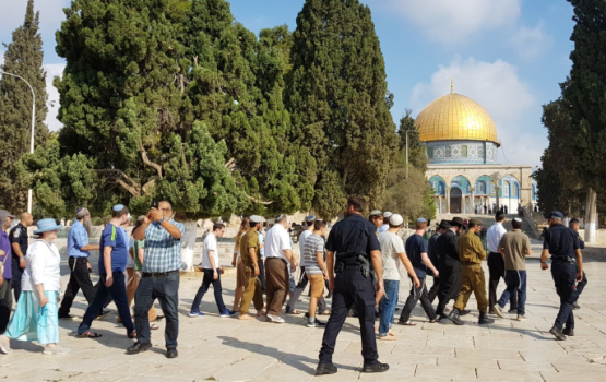عشرات المستوطنين يقتحمون الأقصى