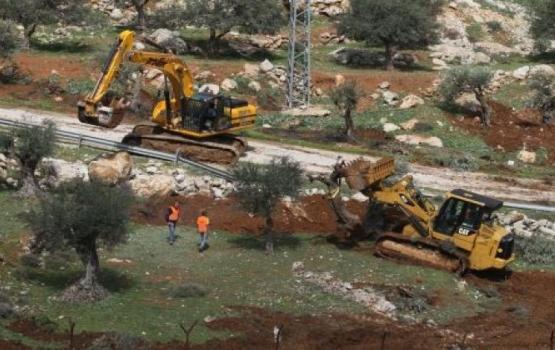 الاحتلال يجرف 10 دونمات زيتون جنوب بيت لحم