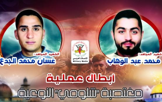 عملية "شلومي" النوعية