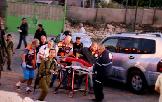 طعن صهيوني غرب الرملة المحتلة