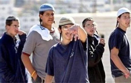 مستوطنون ينظمون مسيرة استفزازية بالخليل
