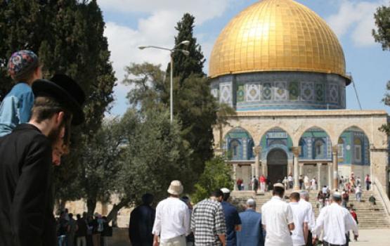 15 مستوطناً يقتحمون باحات المسجد الأقصى