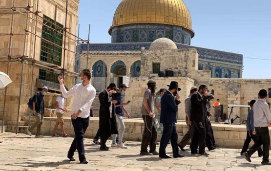 مستوطنون يقتحمون باحات الأقصى المبارك