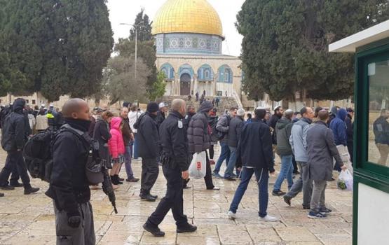 135 مغتصباً يقتحمون الأقصى بحراسة مشددة