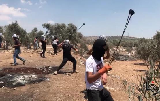 46 إصابة واعتقال فتى وشاب بمواجهات شمالي البيرة