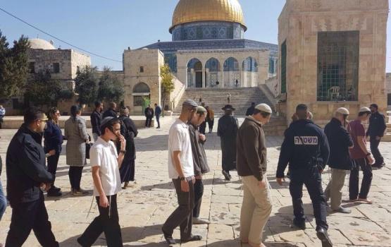 131 مستوطناً يقتحمون الأقصى بحراسة مشددة