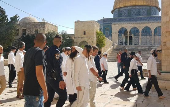 60 مستوطنًا يقتحمون الأقصى والاحتلال يعتقل أحد حراسه