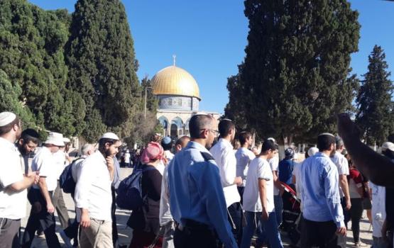 مستوطنون يقتحمون المسجد الأقصى المبارك