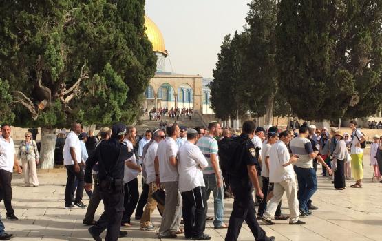 عشرات المستوطنين يقتحمون باحات الأقصى