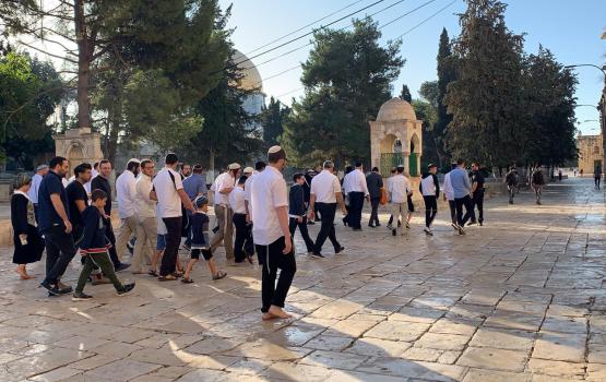 عشرات المستوطنين يقتحمون المسجد الأقصى