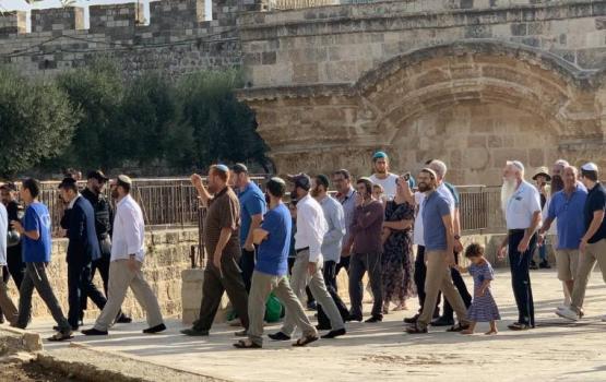 عشرات المستوطنين يقتحمون الأقصى بحراسة مشددة