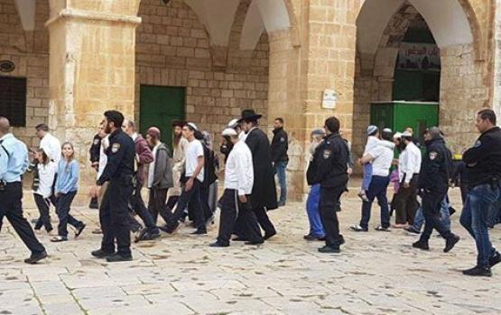 252 مستوطناً يقتحمون الأقصى وسط حراسة غير مسبوقة