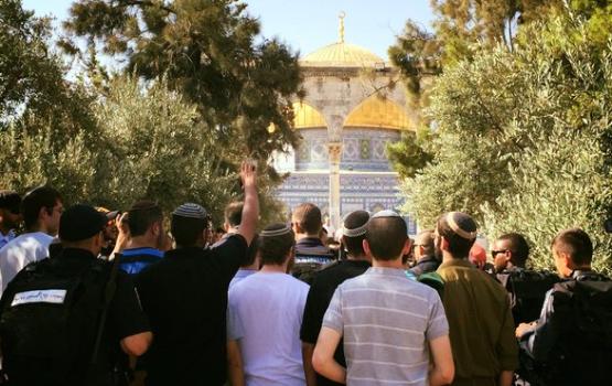 متطرفون يقتحمون باحات المسجد الأقصى المبارك