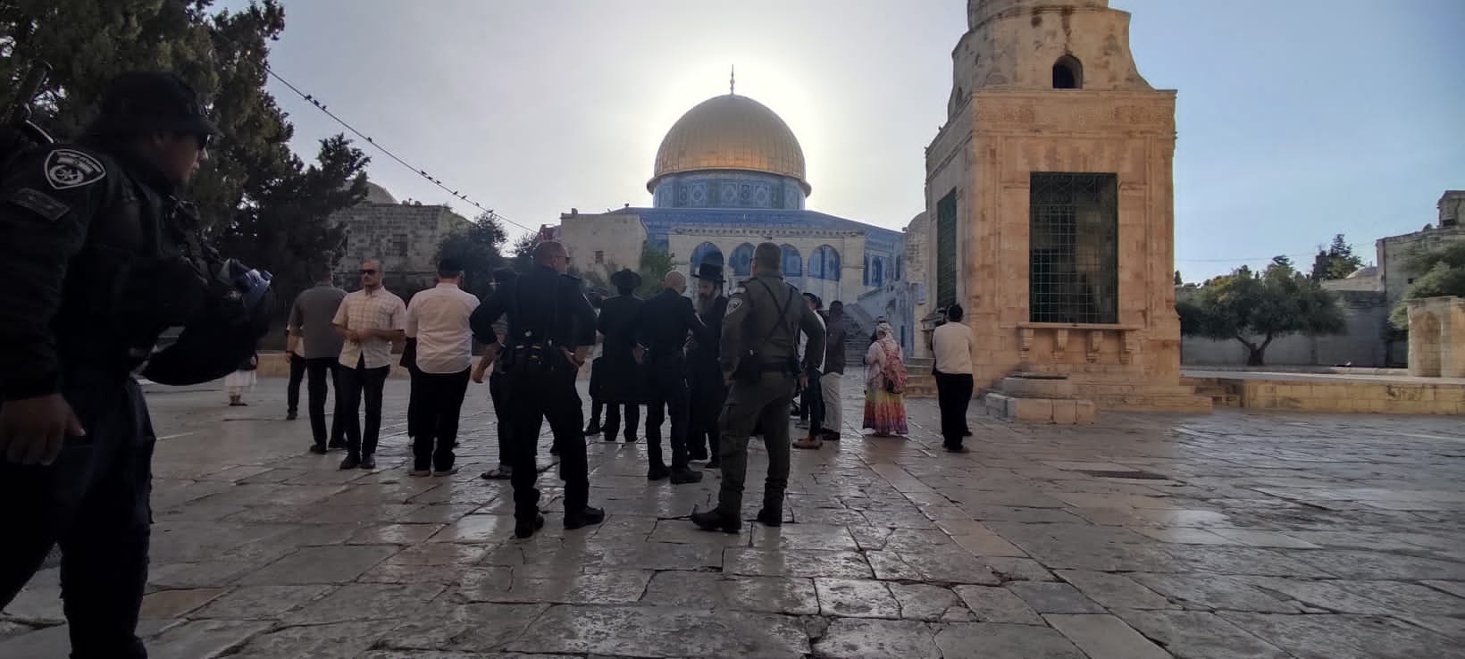 صورة واتساب بتاريخ 2023-07-27 في 08.03.57