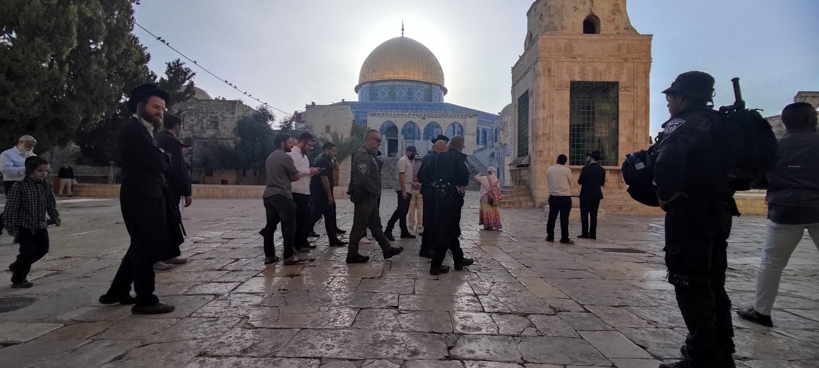 صورة واتساب بتاريخ 2023-07-27 في 08.03.56