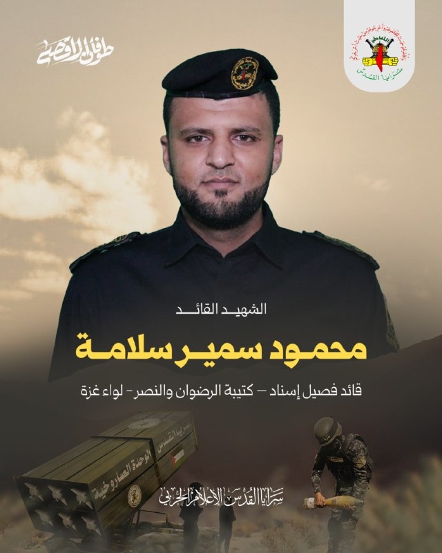 محمود سمير سلامة