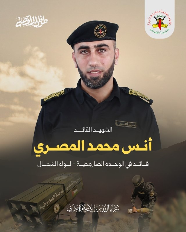 أنس محمد المصري