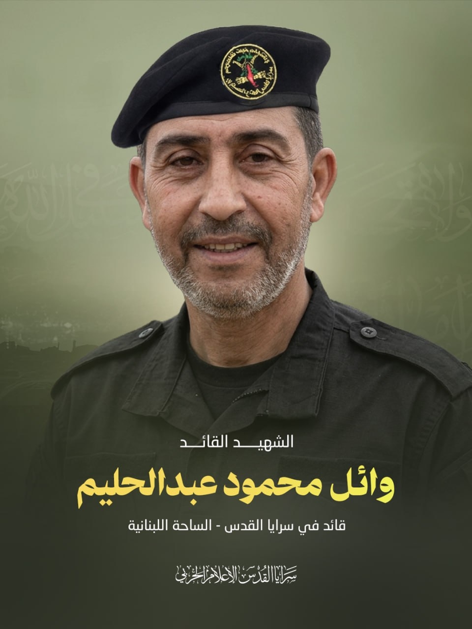 وائل محمود عبد الحليم